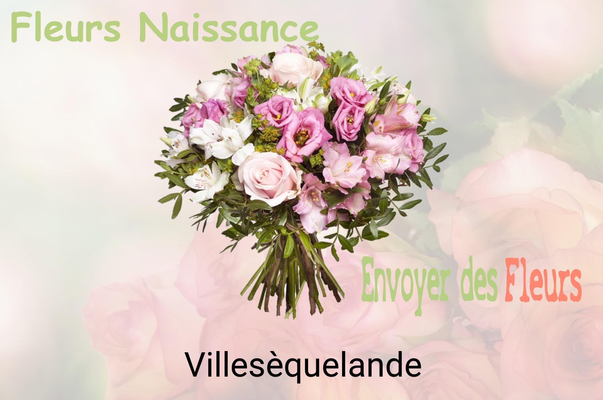 Bouquet de fleurs de naissance livré à Villesèquelande