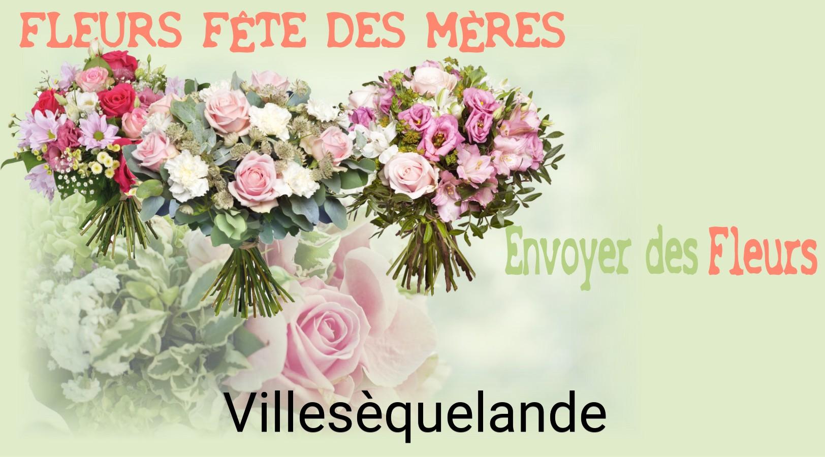 Bouquet de Fête des Mères livré à Villesèquelande